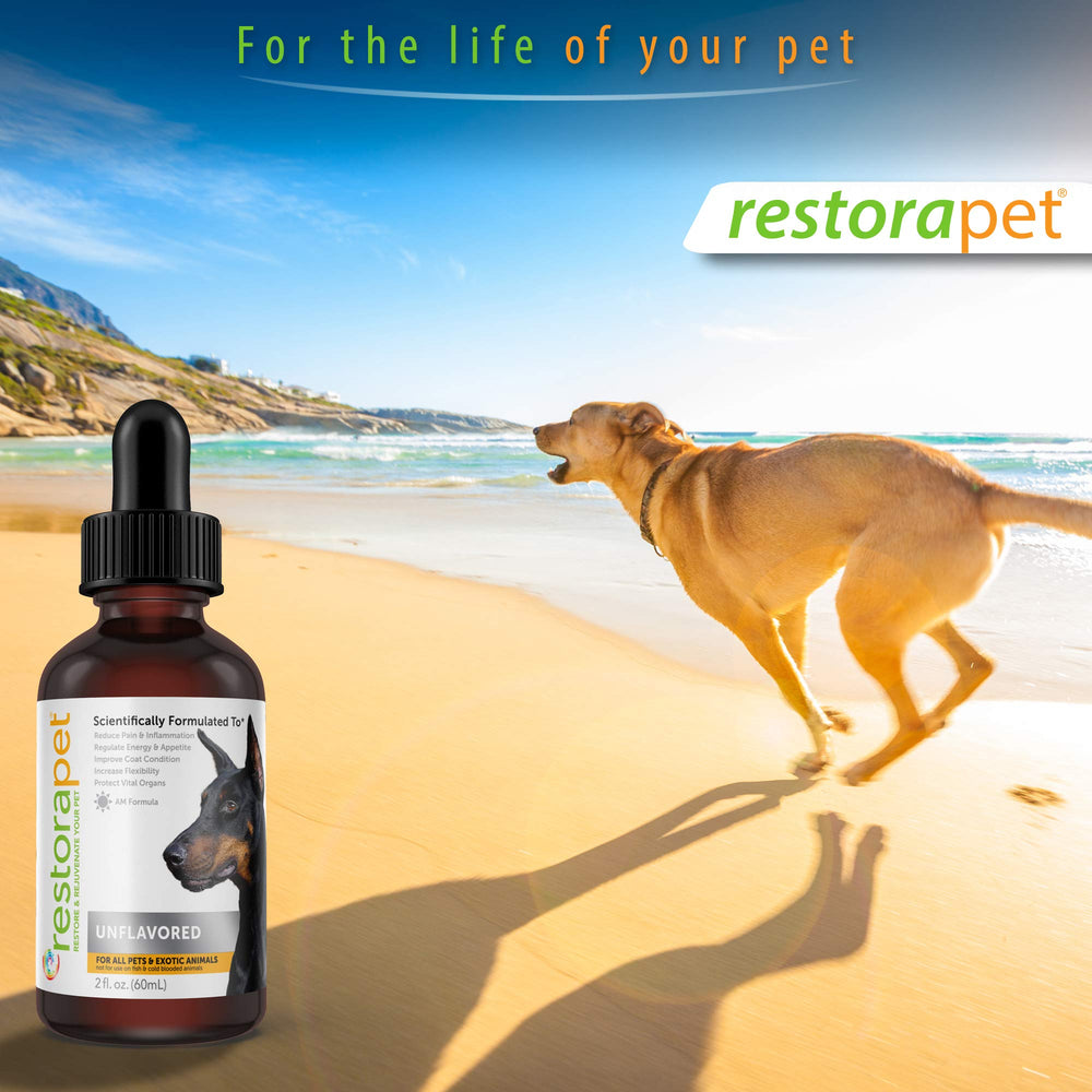 RestoraPet pet wellness routine with bottle promotes consistency and care