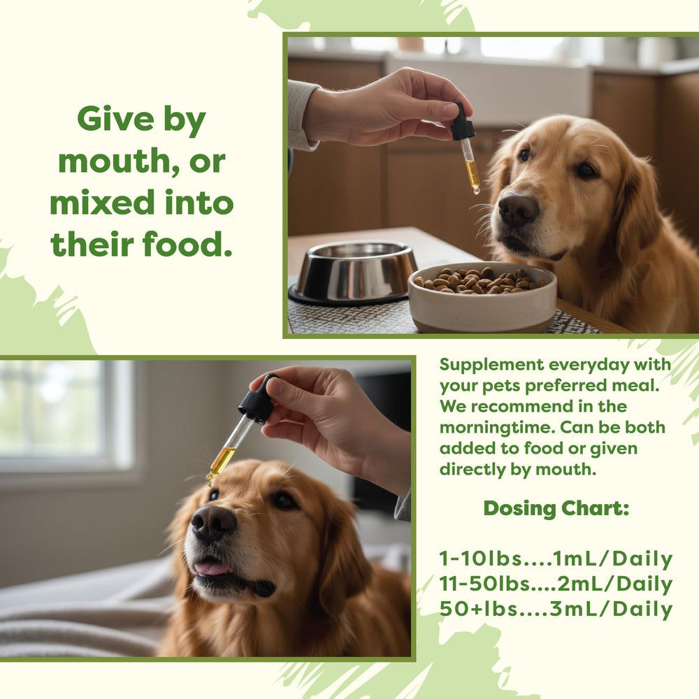 RestoraPet vegan bacon flavor label highlights allergy-friendly, pet-friendly taste.