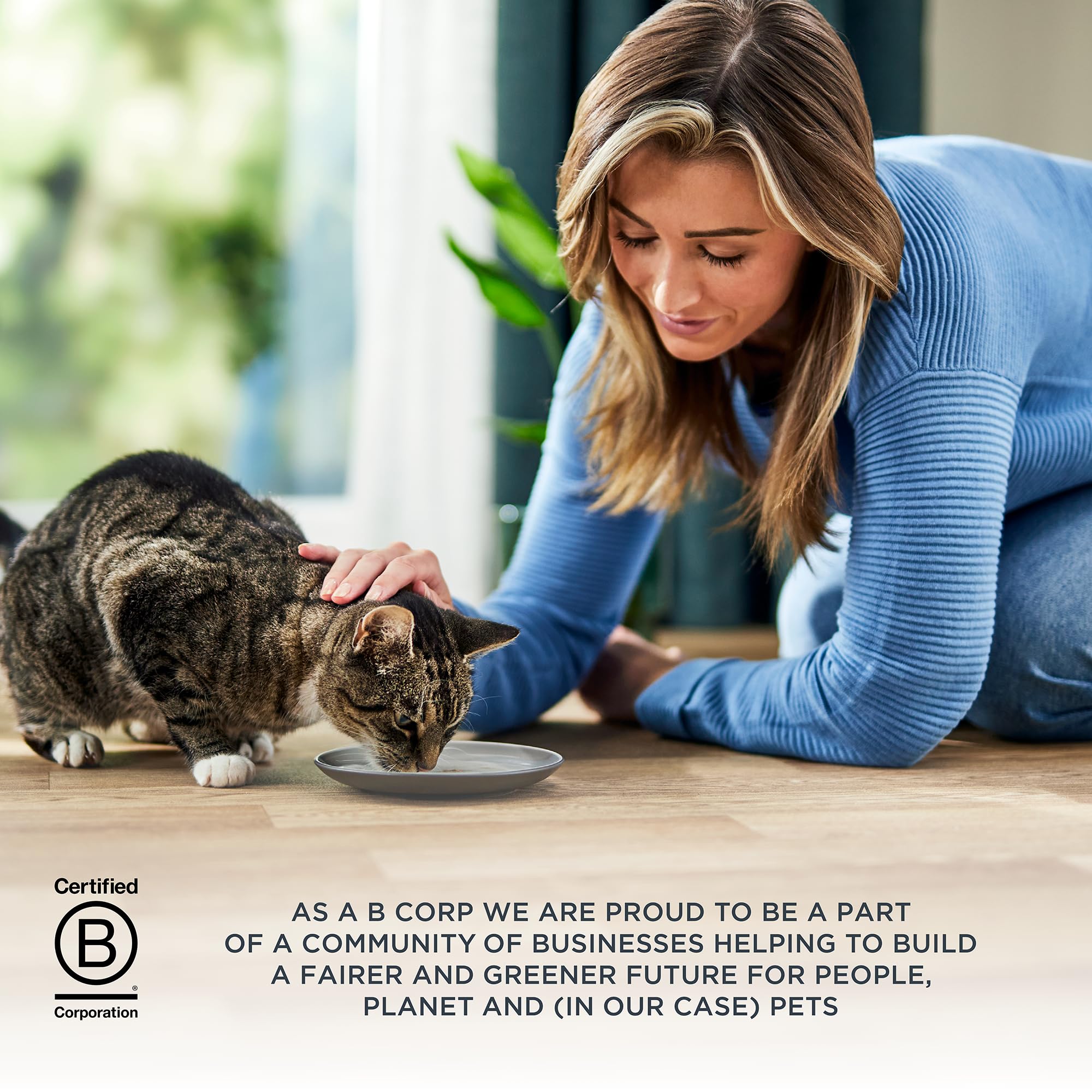 Reveal Entrées cat-mealtime-enjoyment captures an enticing aroma and texture.