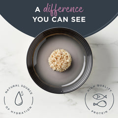 Reveal grain-free ingredients close-up emphasizes simple, natural nutrition your cat may enjoy.
