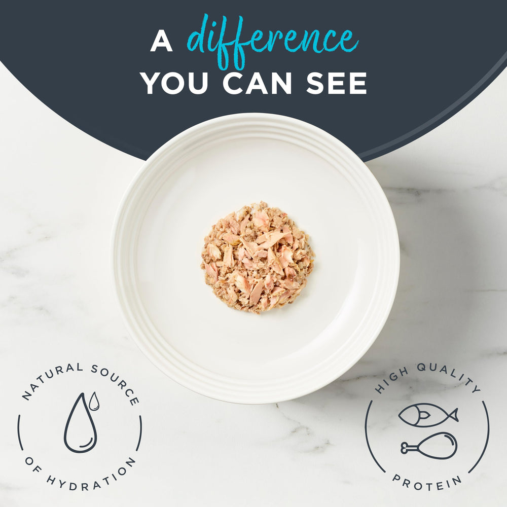 Reveal natural ingredients cat food can label shows no artificial additives.