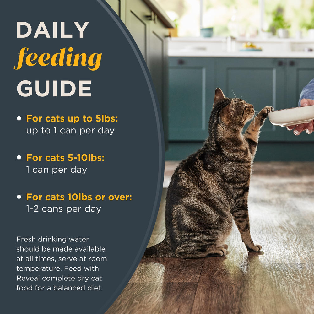 Reveal packaging display on shelf emphasizes premium quality cat food from a trusted brand.