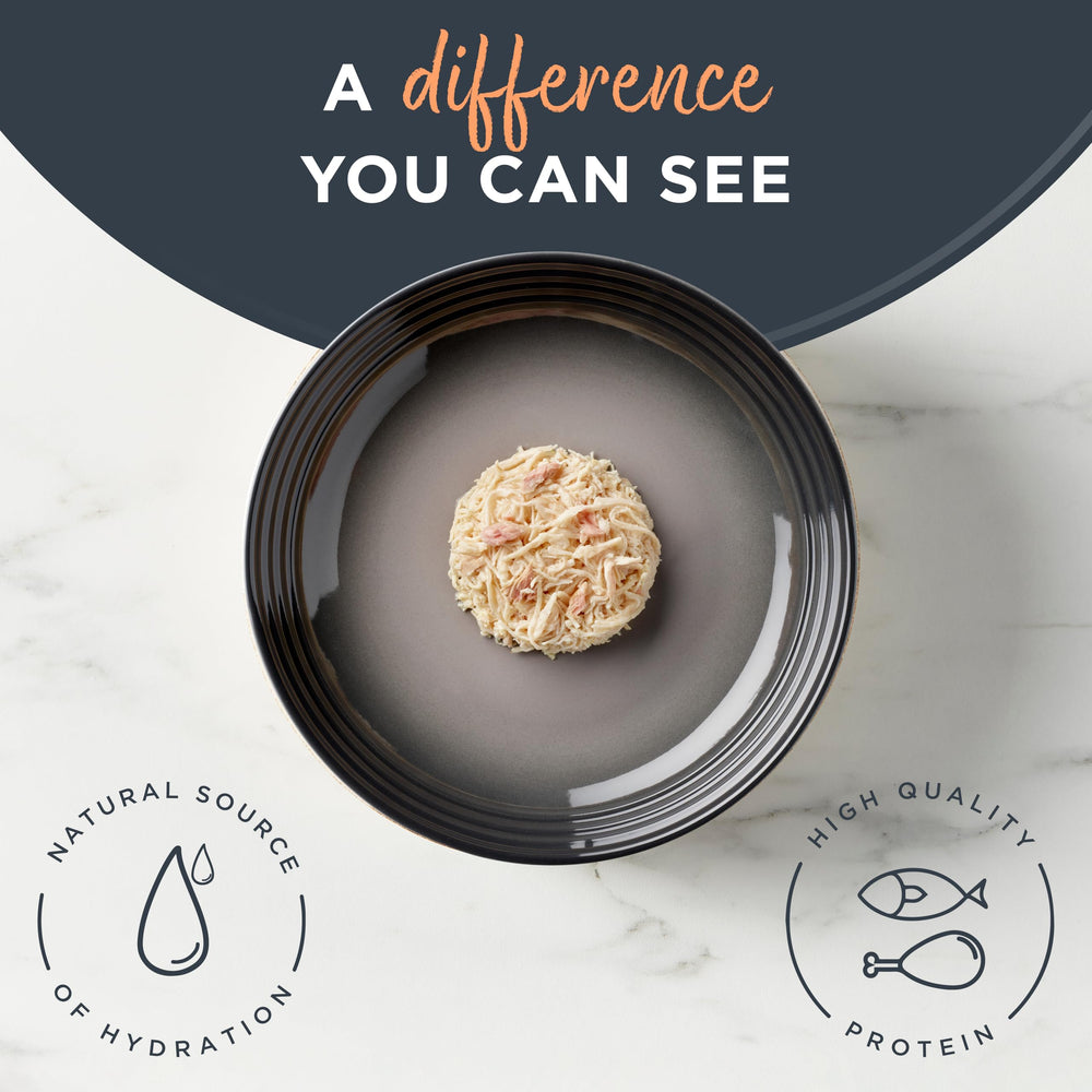 Reveal grain-free wet cat food highlighting limited ingredients.