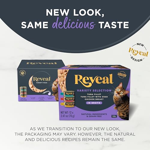 Reveal wet cat food hydrating broth closeup highlights moisture-rich serving.