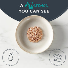 Reveal wet-cat-food-portion-bowl demonstrates easy serving and hydration-friendly meal.