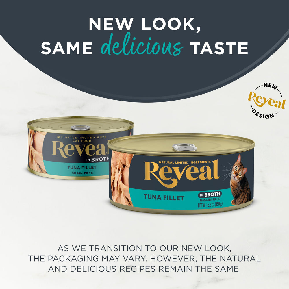 Reveal wet cat food tuna broth serving bowl shows a hydrating, flavorful meal cats may enjoy.