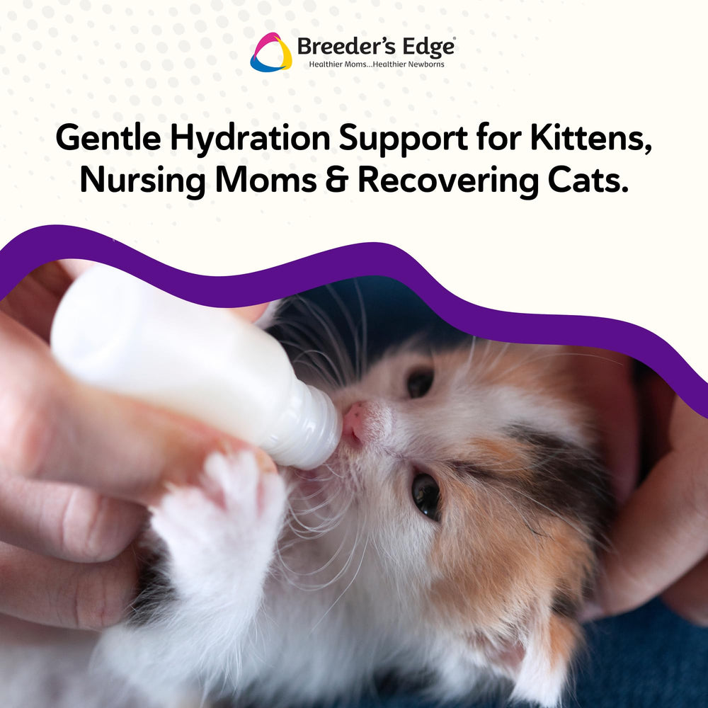 Revival Animal Health Breeder Edge Kitten Lyte label shows chicken soup flavor