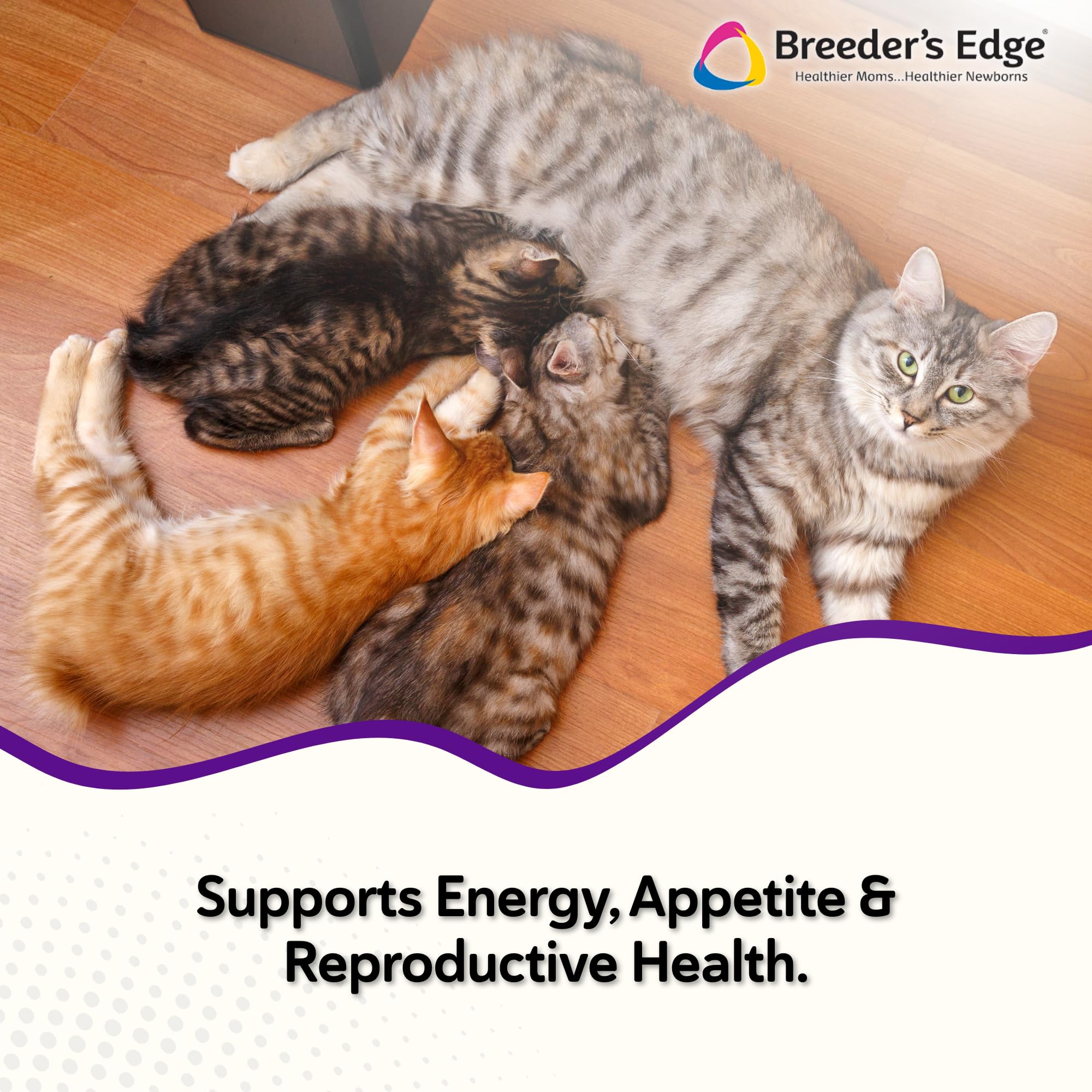 Revival Animal Health Breeder Edge Kitten Lyte scoop dispense ensures precise dosing