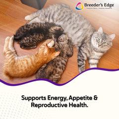 Revival Animal Health Breeder Edge Kitten Lyte scoop dispense ensures precise dosing