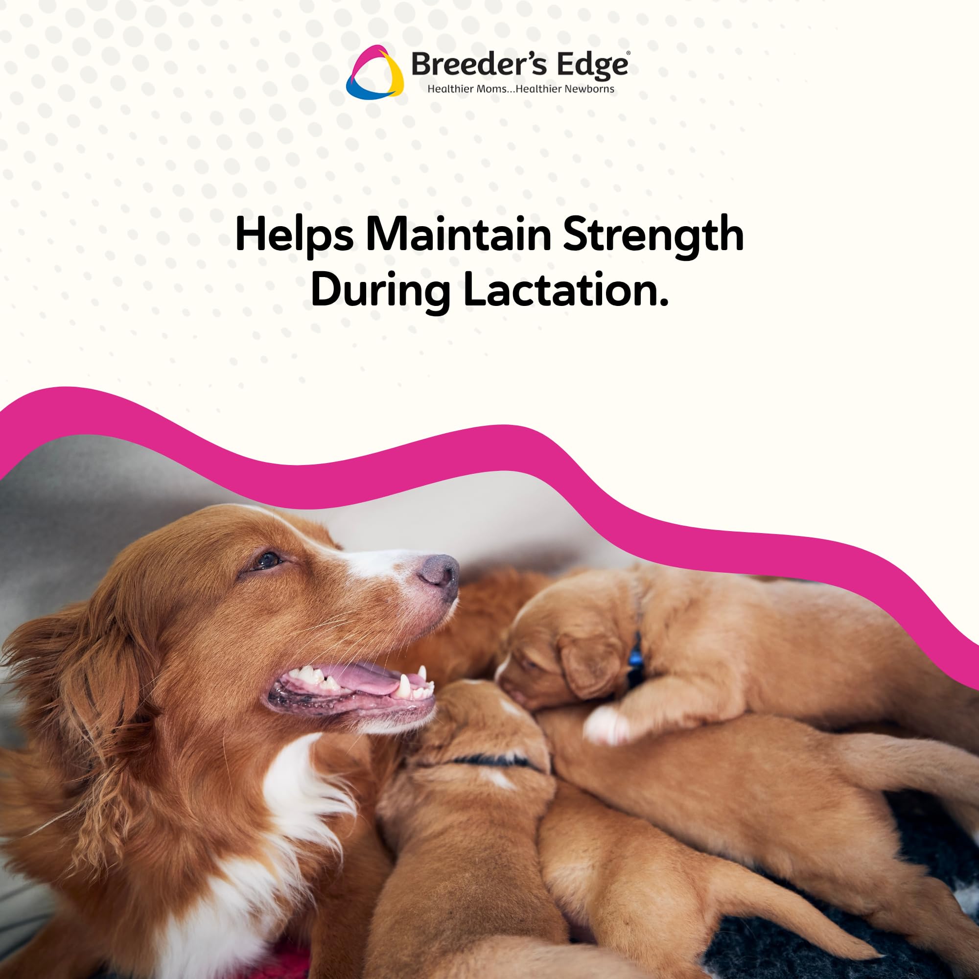 Revival Animal Health Breeder's Edge Oral Cal Plus bottle with dog and cat bone-health imagery.