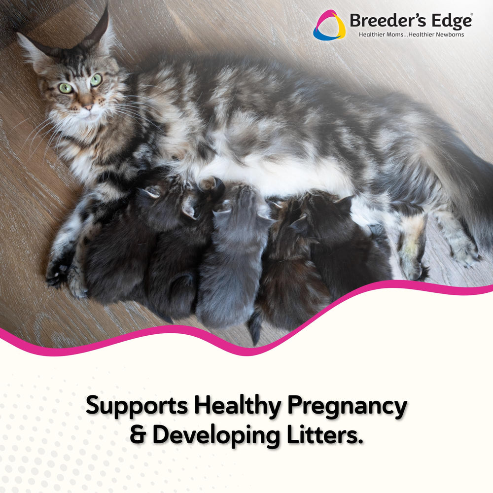 Revival Breeder's Edge Oxy Mate meat treats highlight convenient prenatal nutrition for pets.