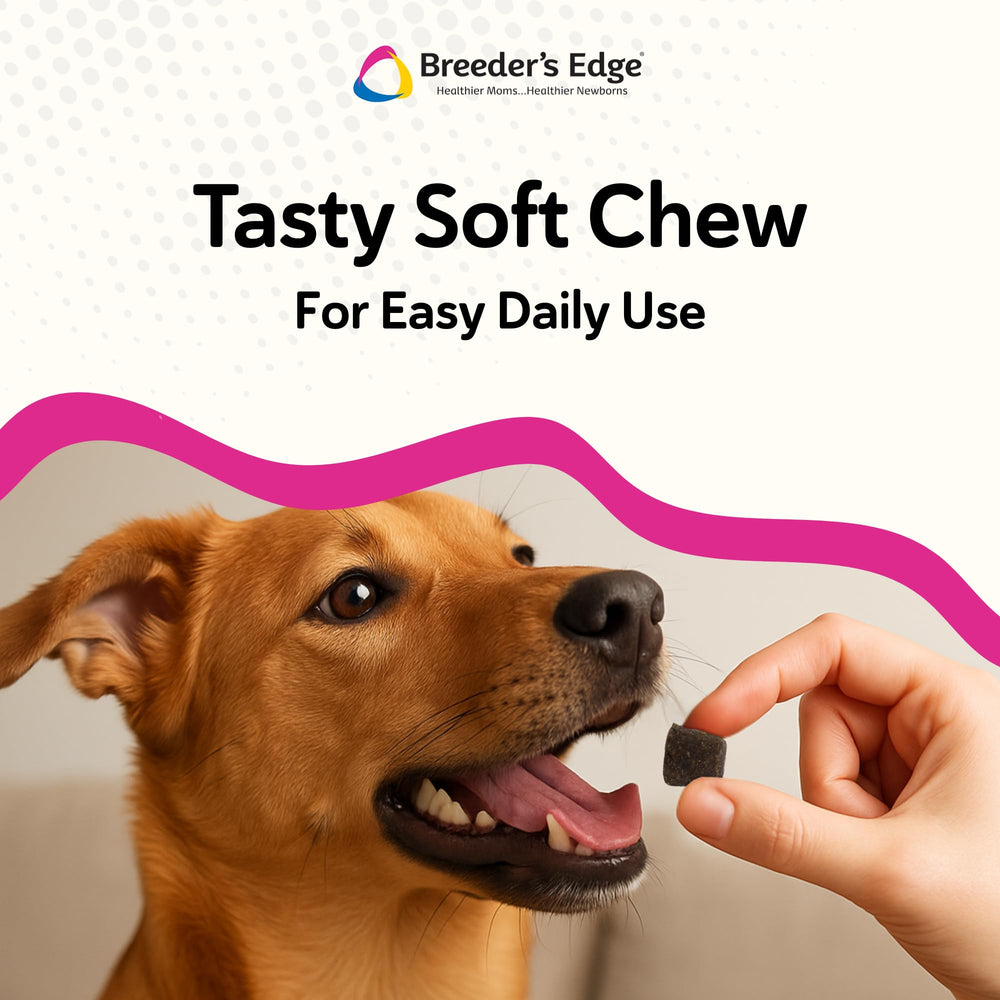 Revival Breeder's Edge Oxy Mate packaging on shelf signals ongoing prenatal support for pets.