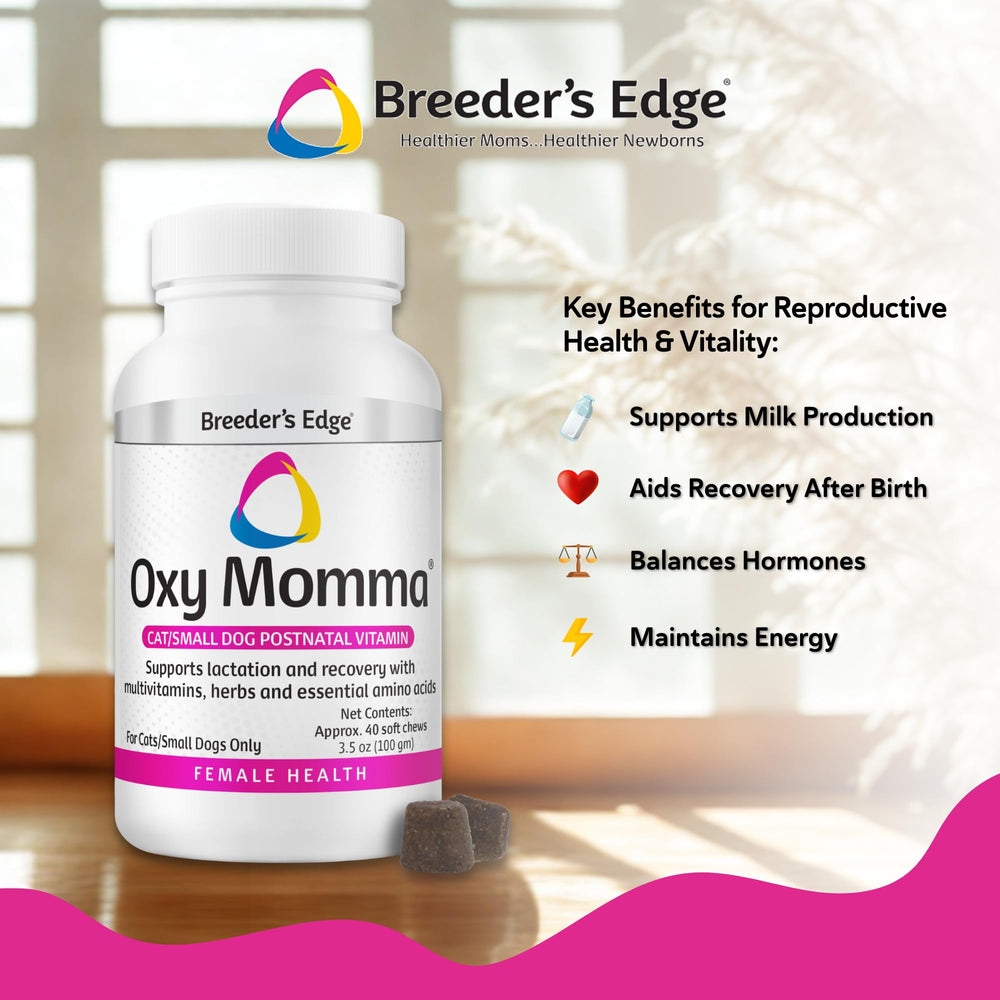 Revival Animal Health Breeder's Edge Oxy Momma soft chews in hands for easy daily use