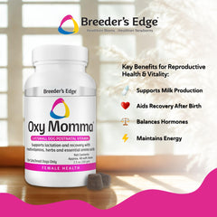 Revival Animal Health Breeder's Edge Oxy Momma soft chews in hands for easy daily use