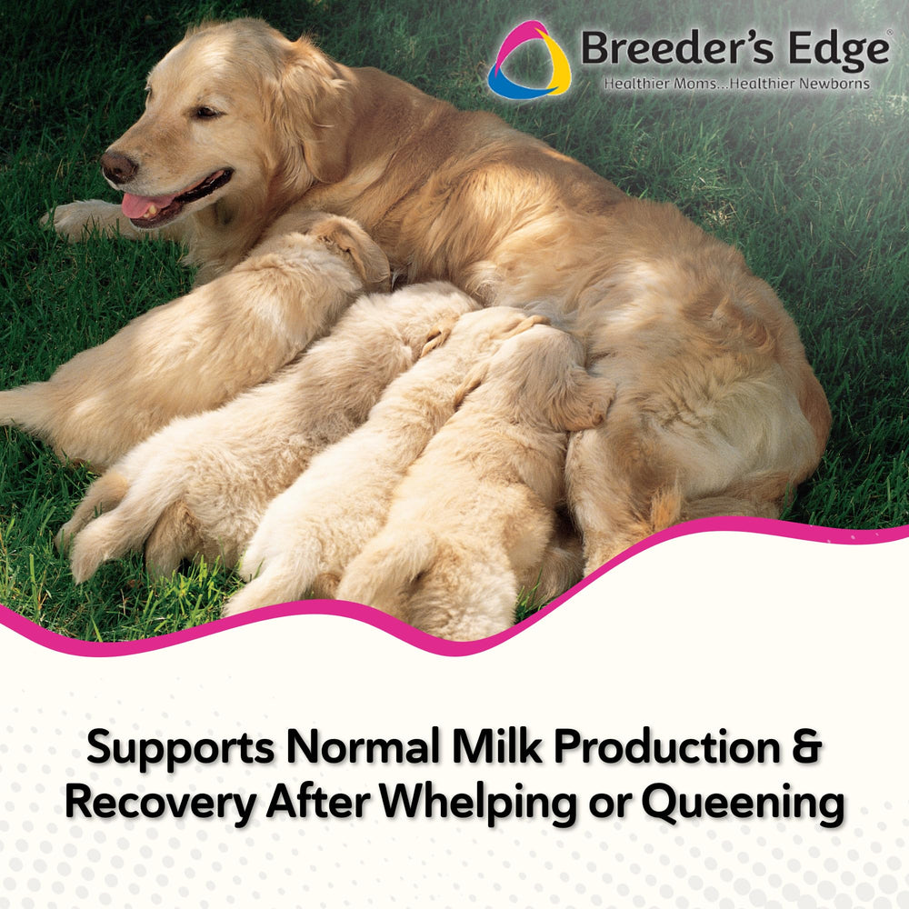 Revival Animal Health Breeder's Edge Oxy Momma ingredients with herbs for milk production