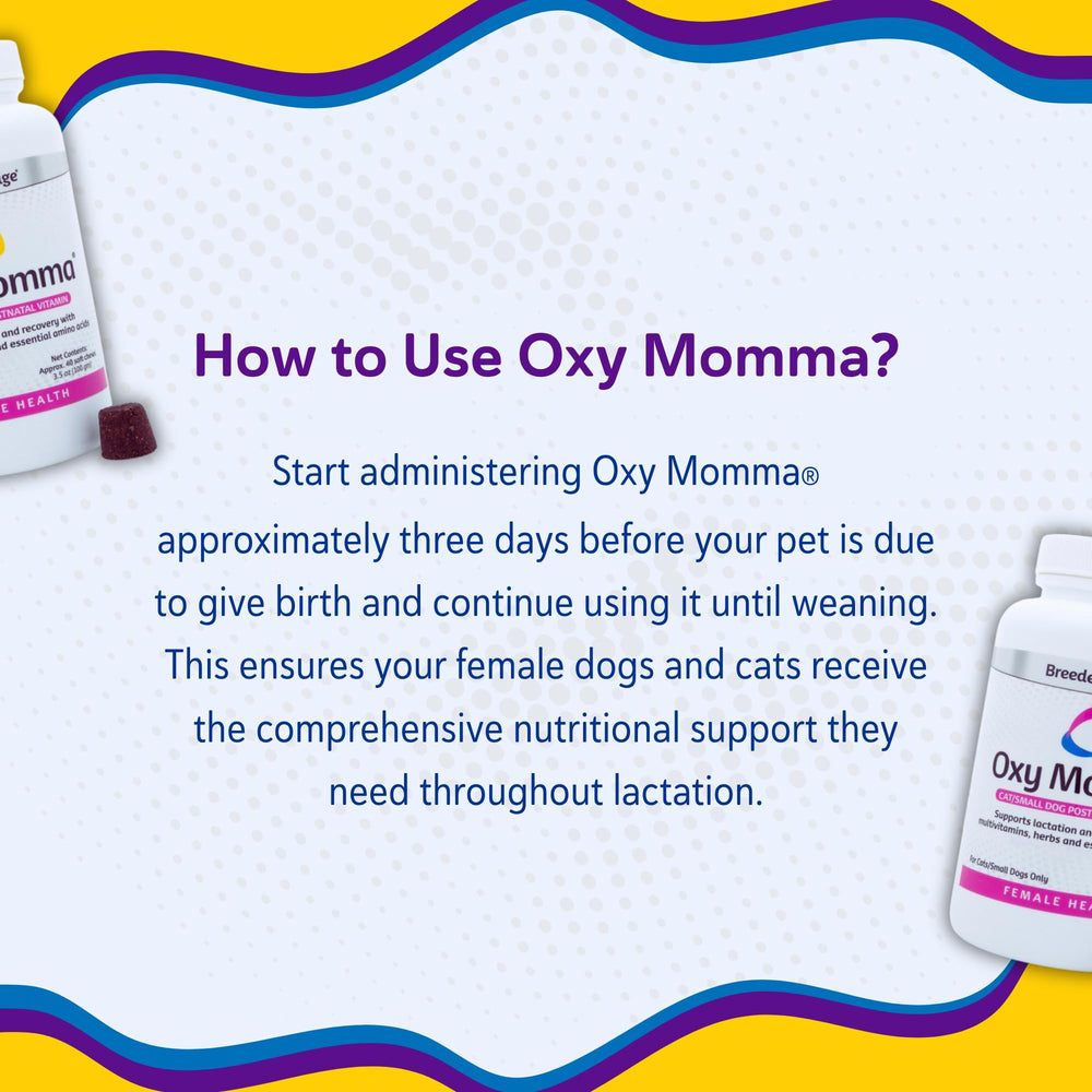 Revival Animal Health Breeder's Edge Oxy Momma soft chews next to calendar for next pregnancy planning