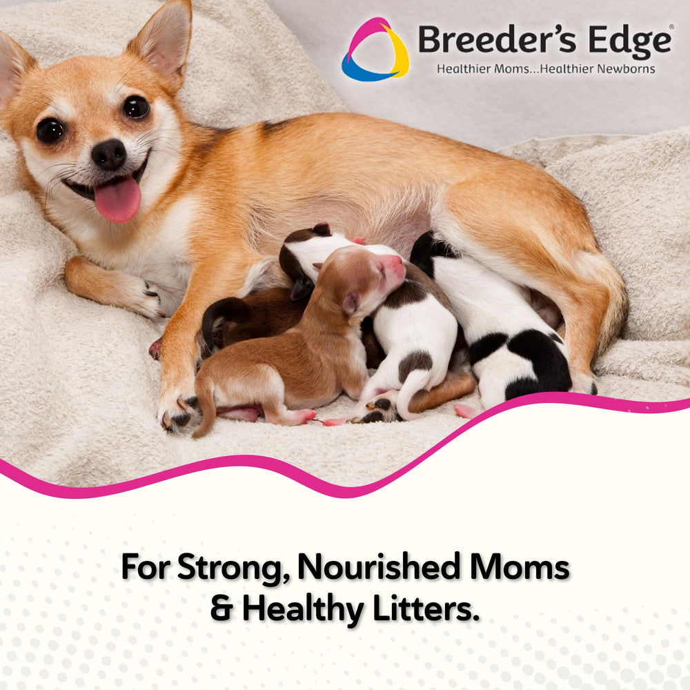 Revival Animal Health Breeder's Edge Oxy Momma soft chews pack front for lactation support