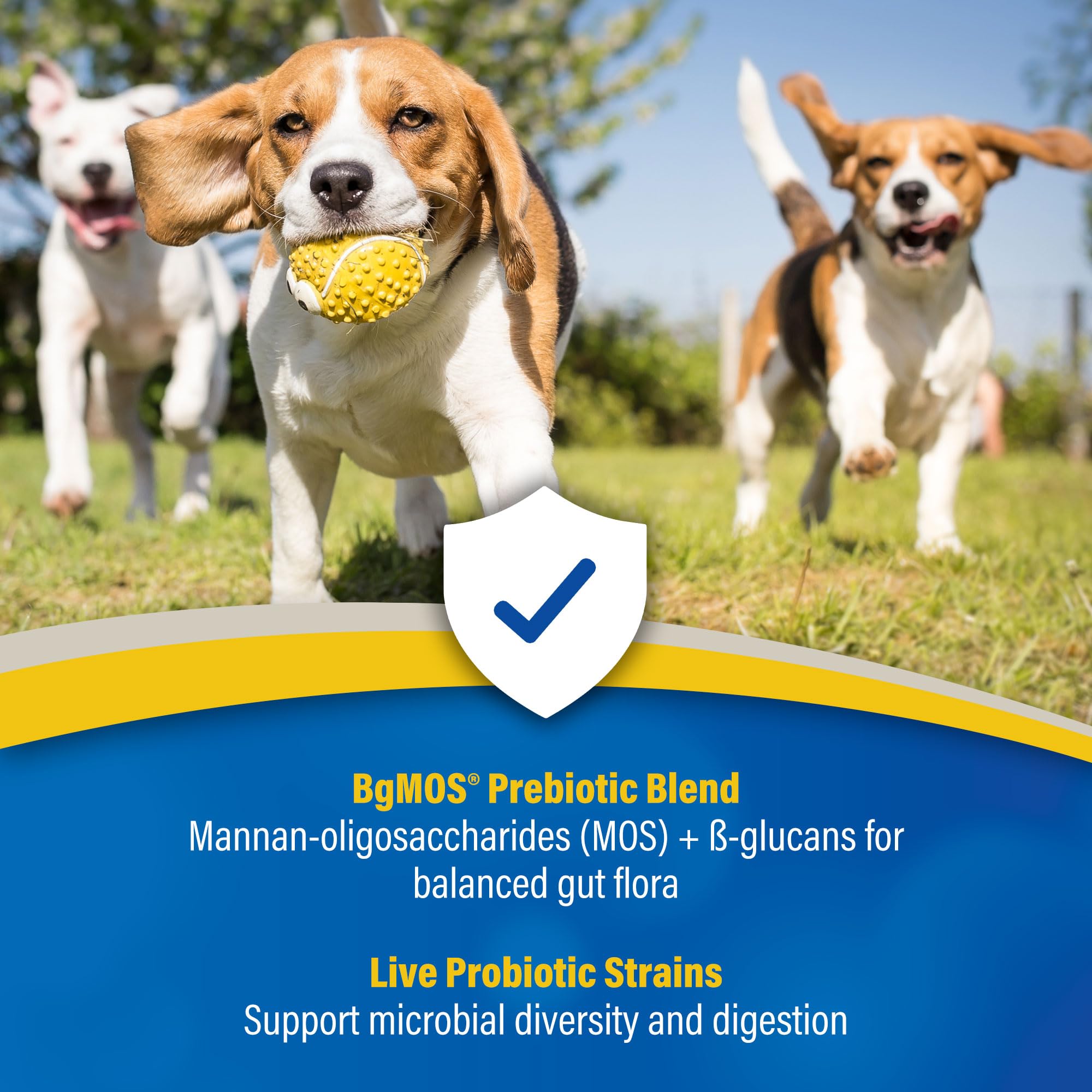 30ml Doc Roy’s gel offers easy, gentle dosing for dogs and cats.