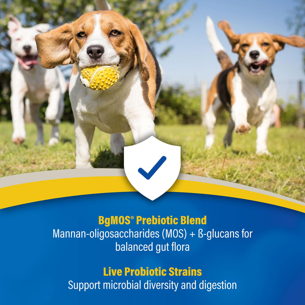 30ml Doc Roy’s gel offers easy, gentle dosing for dogs and cats.