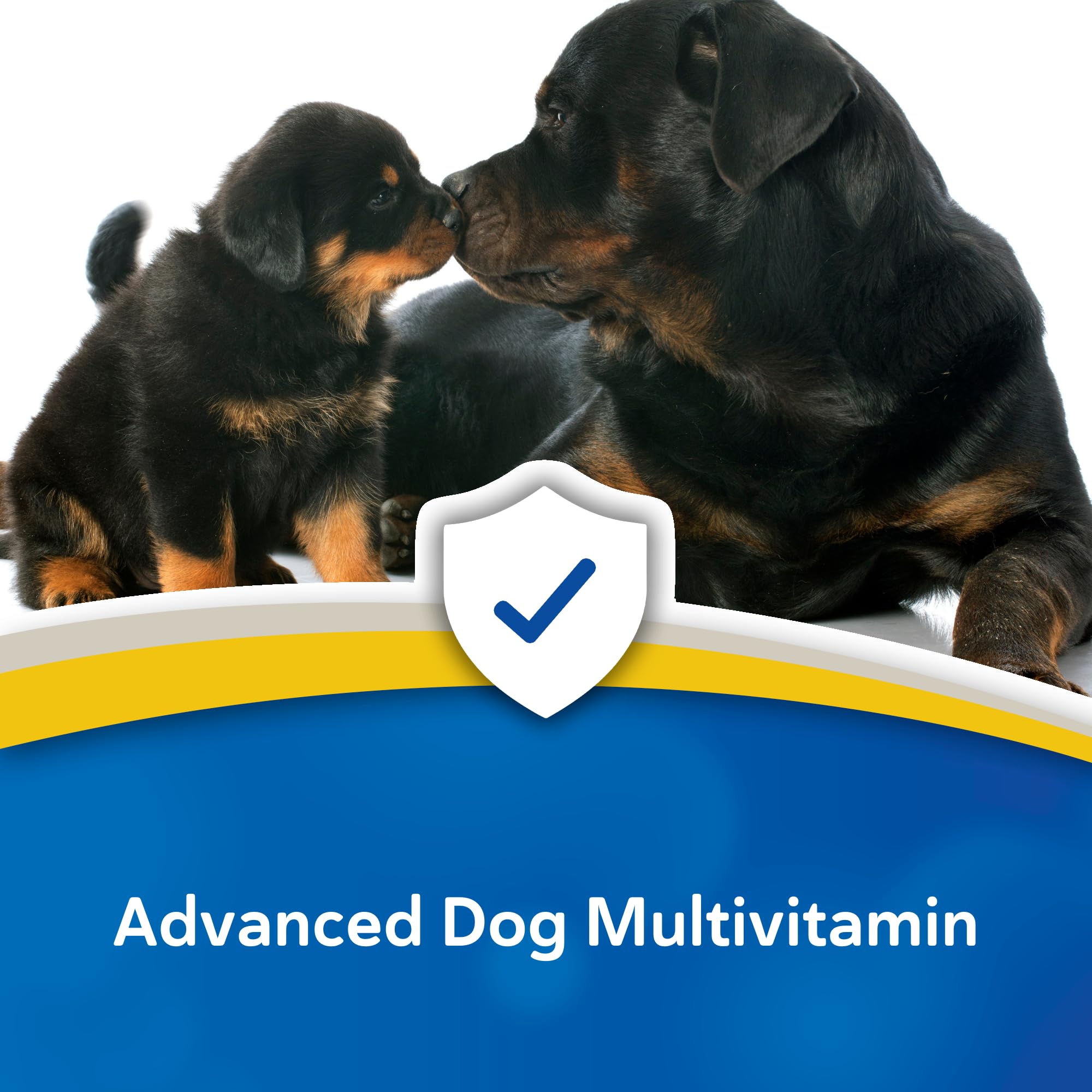 Revival Doc Roy's Daily Care Extra liver flavor image shows palatable option for dogs