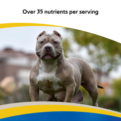 Revival Doc Roy's Daily Care Extra roast beef flavor image suggests tasty dog-friendly flavor