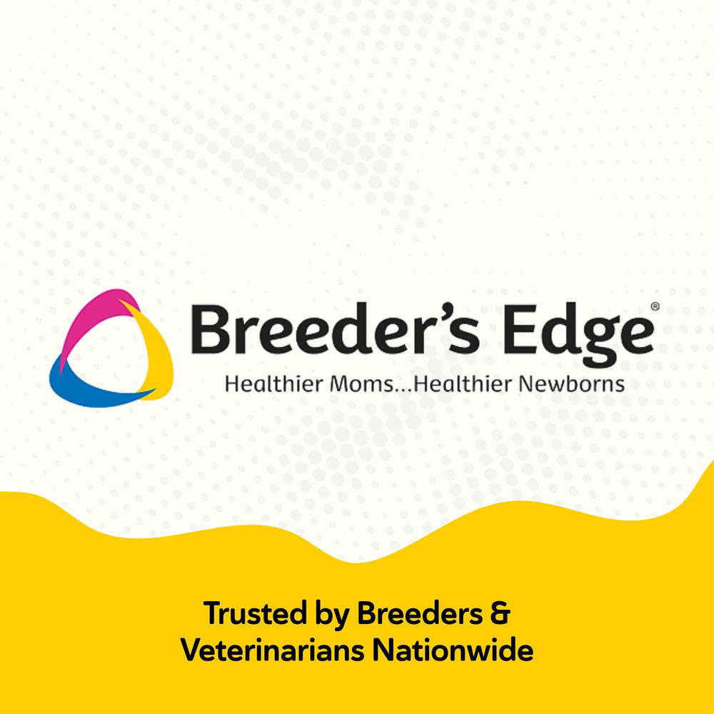 Breeder's Edge Foster Care in a pet nursery scene reflects versatile use for dogs and cats.