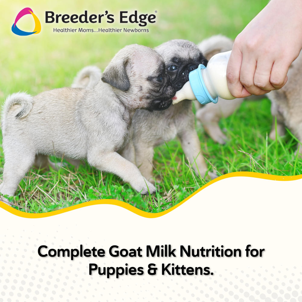 Revival Breeder's Edge Foster Care goat-milk kitten feeding promotes gentle growth.