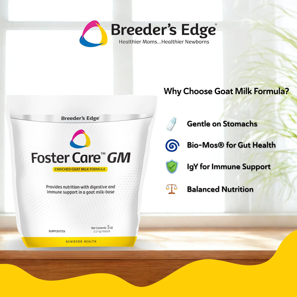 Breeder's Edge Foster Care goat milk powder in a bowl demonstrates ready-to-feed consistency for young pets.