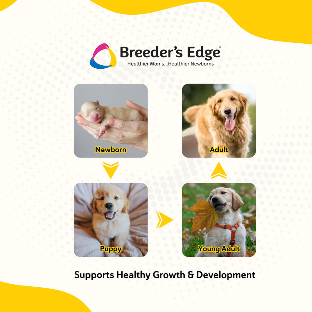 Revival Breeder's Edge Foster Care IgY Bio-MOS enriched formula supports gut balance.