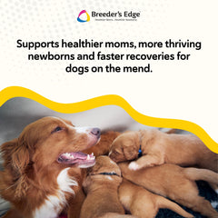 Revival Breeder Edge Foster Care powder served to a puppy for balanced nutrition.