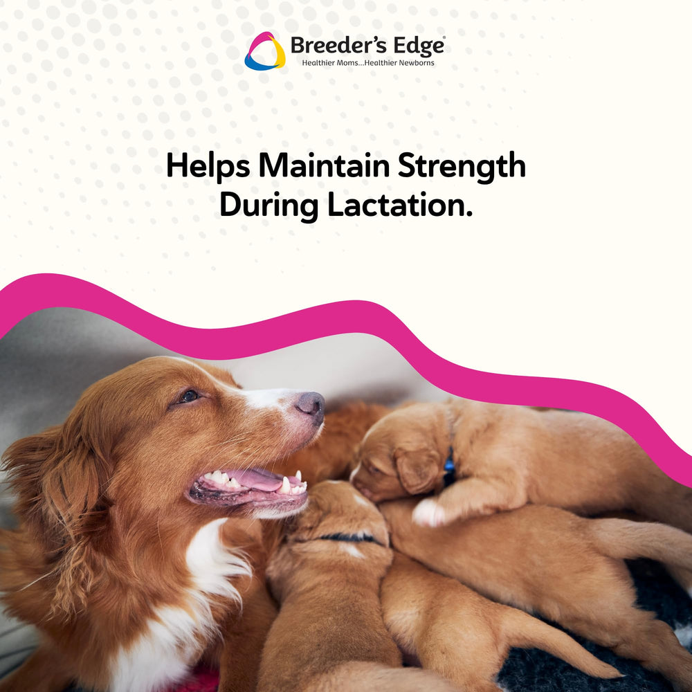 Revival Breeder's Edge Cal Plus powder with goat milk base supports gentle digestion.