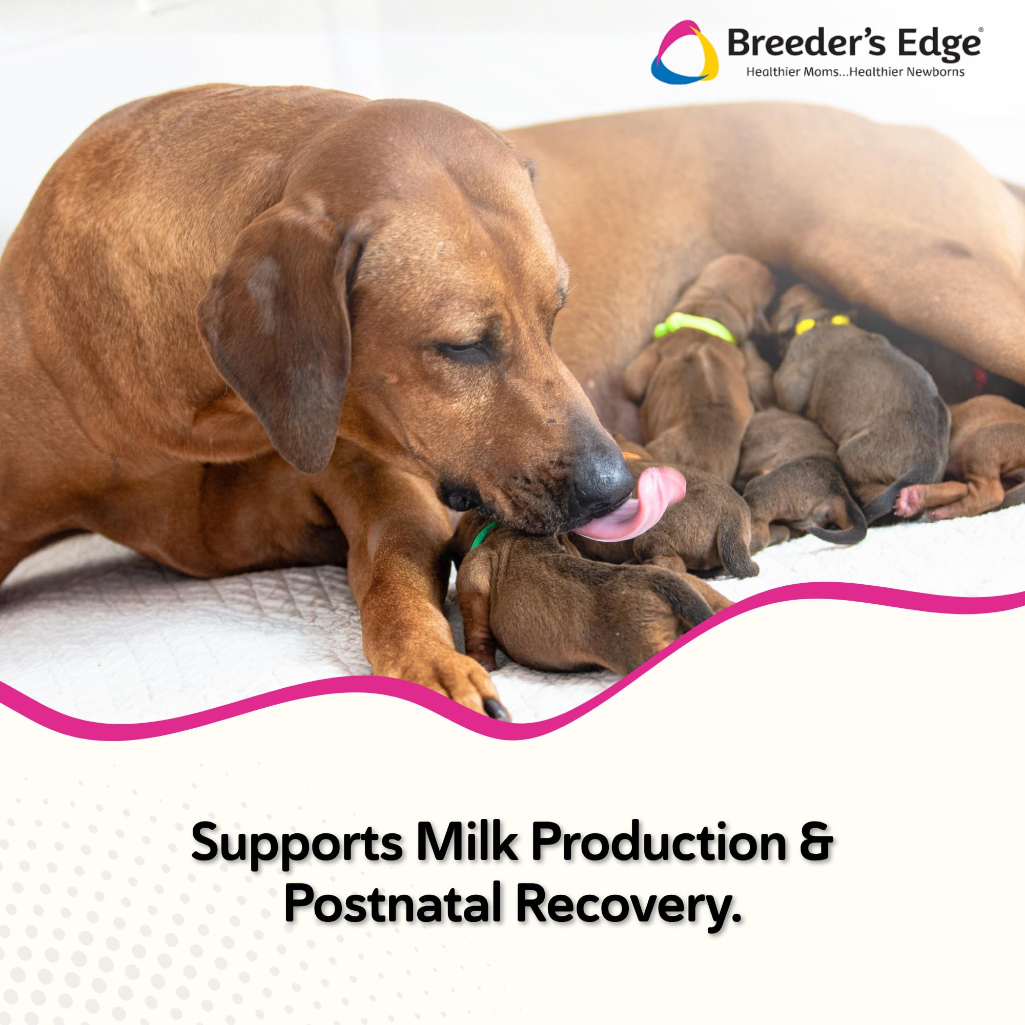 Revival Breeder's Edge Cal Plus powder scoop enables easy breeder dosing.