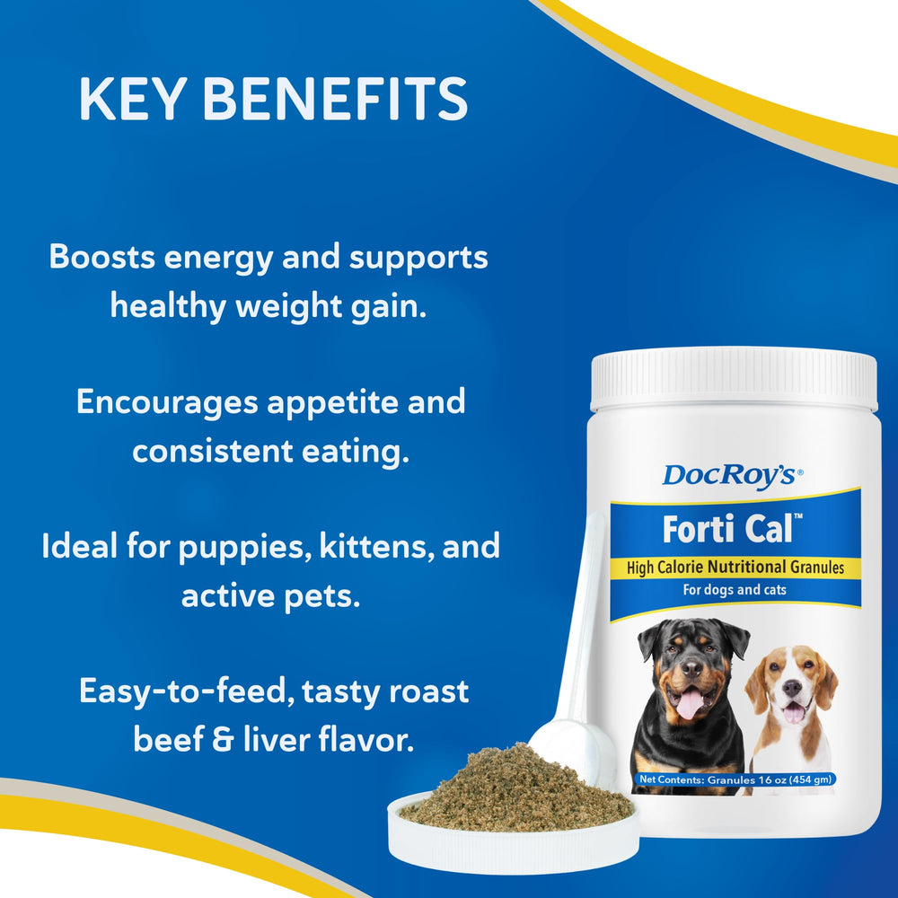 Revival Doc Roy's Forti Cal helps active pets sustain energy