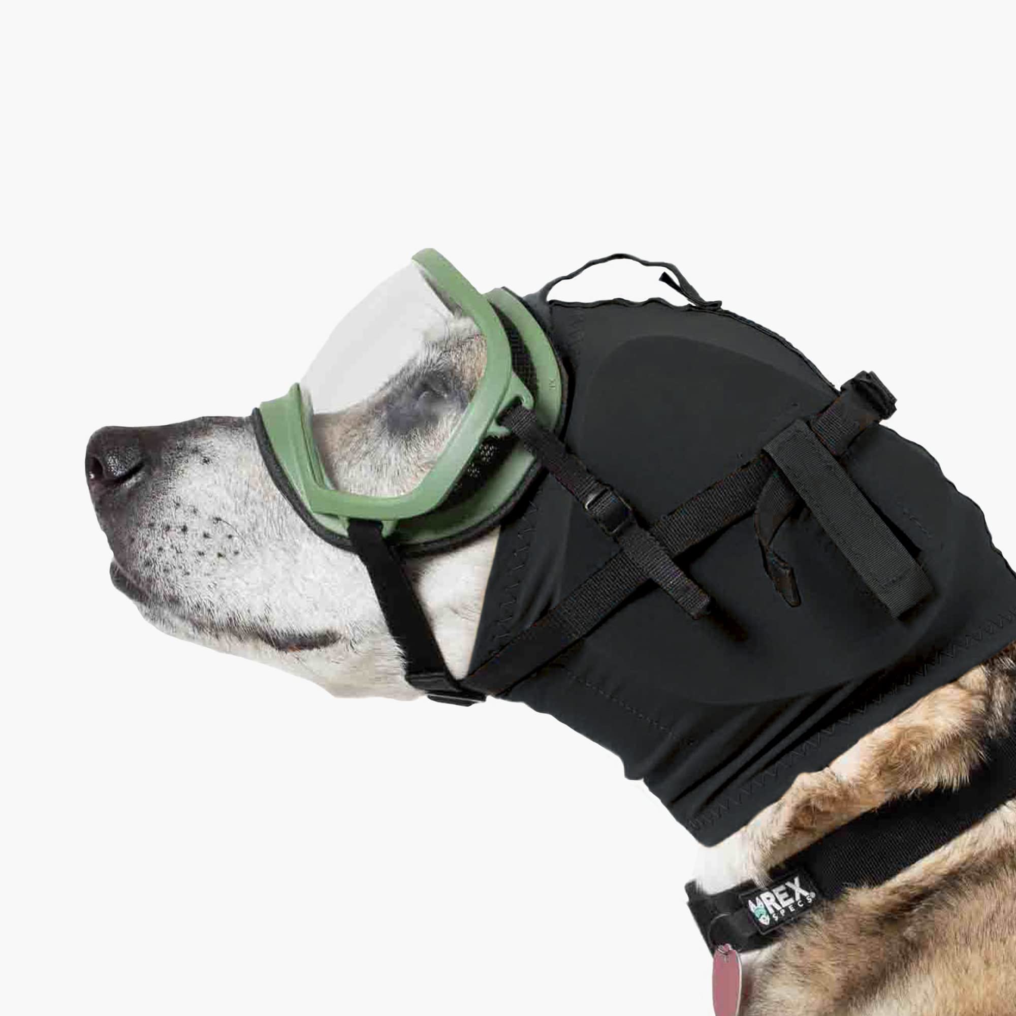 Rex Specs Ear Pro during fireworks keeps dogs calm and controlled.