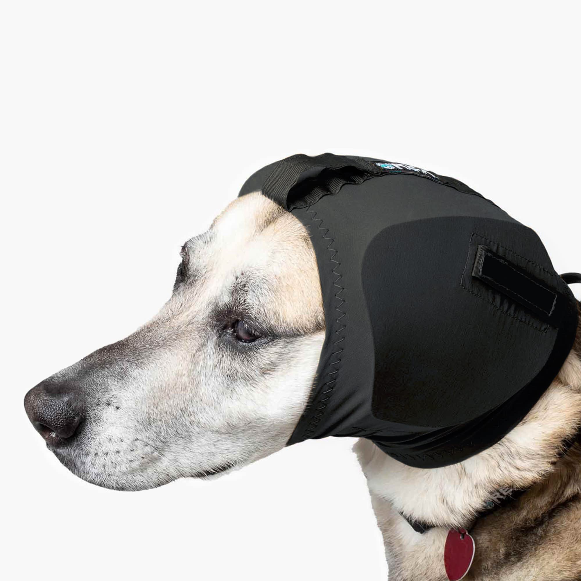 Rex Specs Ear Pro outdoor-activity setting suggests protected ears in loud environments.
