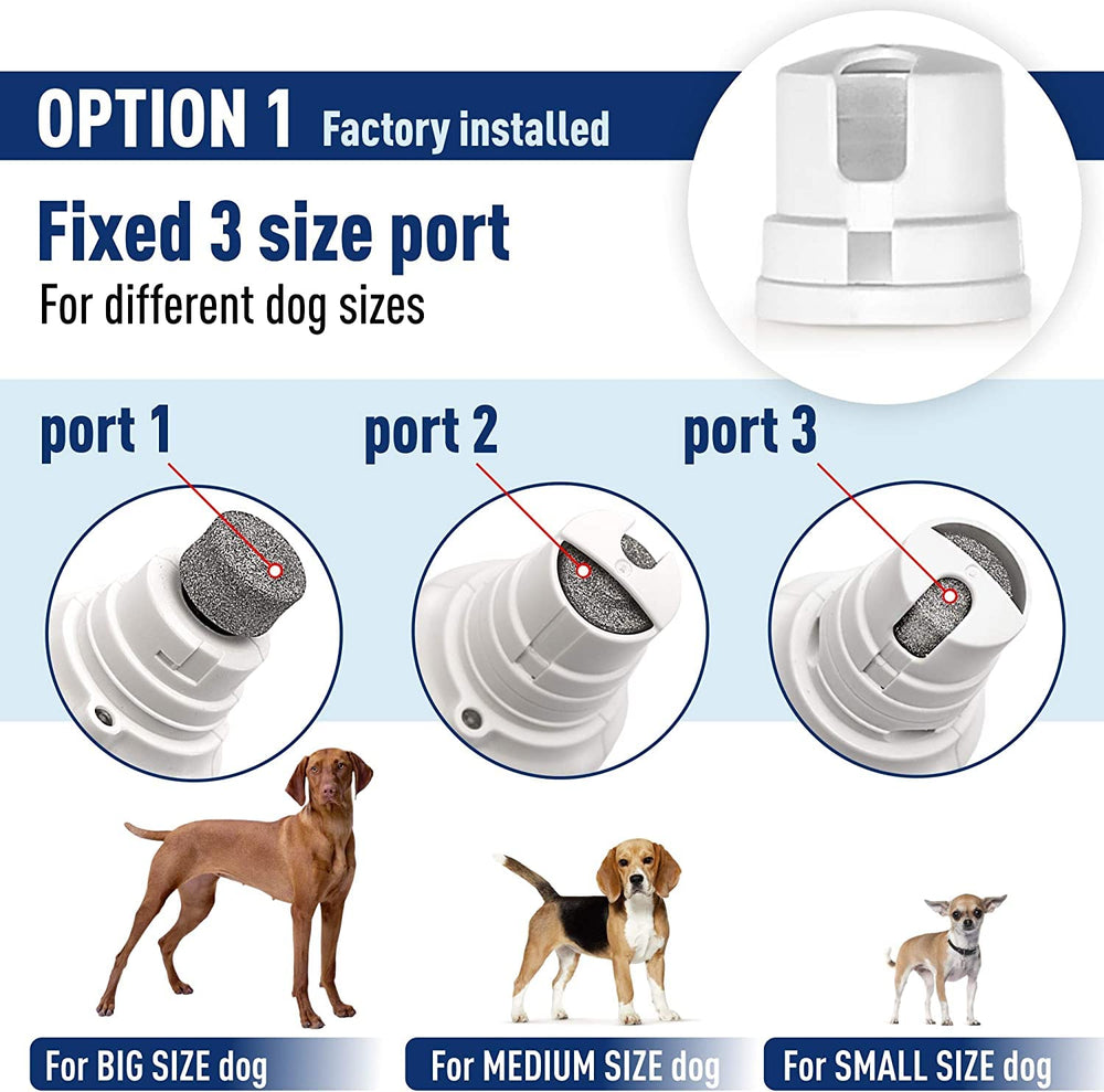 REXIPETS nail grinder 2-speed motor for gentle vs. faster filing.