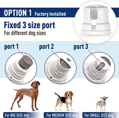 REXIPETS nail grinder 2-speed motor for gentle vs. faster filing.