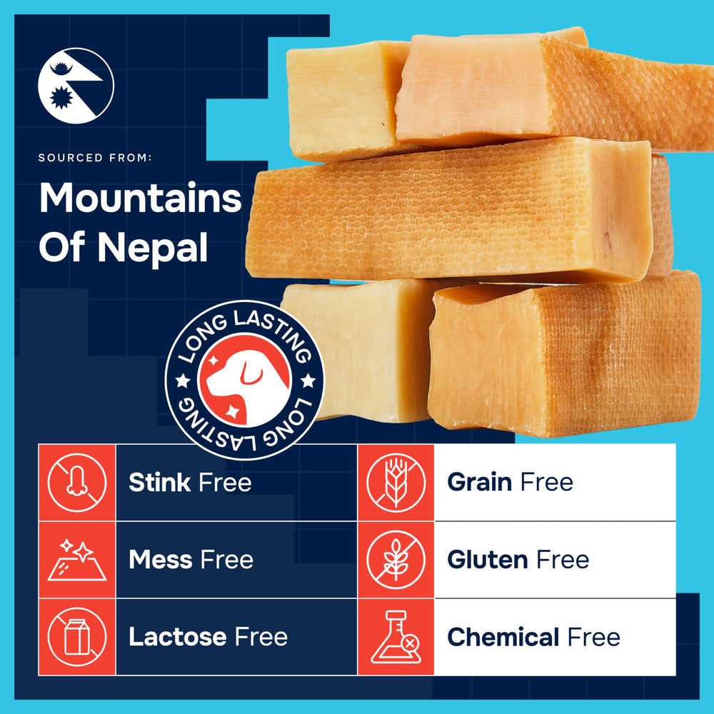 REXIPETS natural yak chews for medium dogs support oral exploration and steady chewing sessions.
