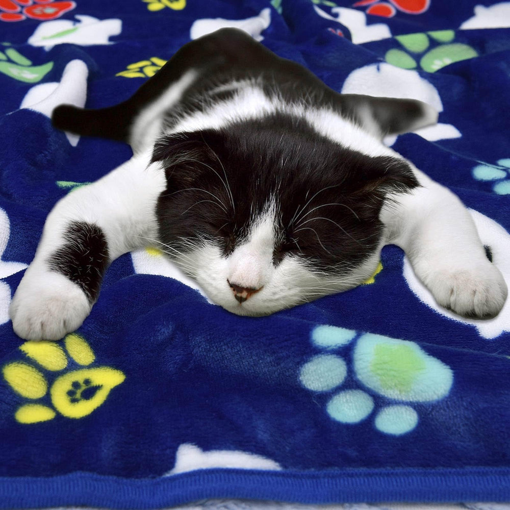 Rezutan blanket in kennel illustrating travel-friendly comfort