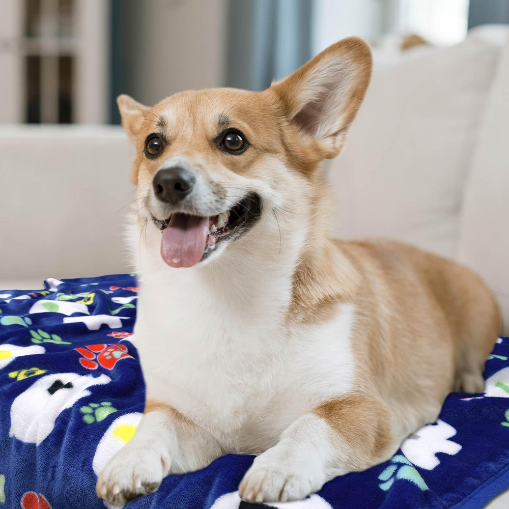 Rezutan 41x31 inch blanket on a large dog bed for full coverage