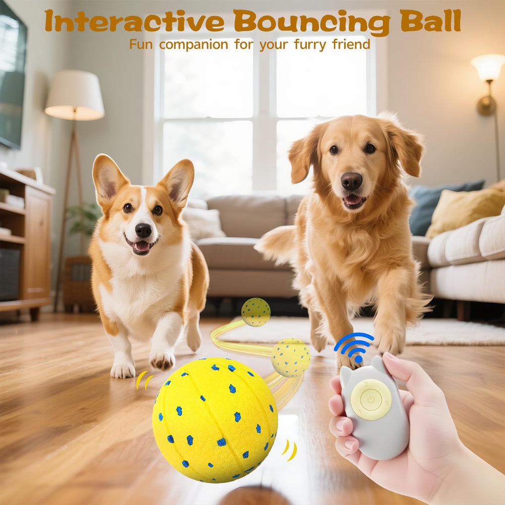RGISHOP dog ball shows three modes for versatile play