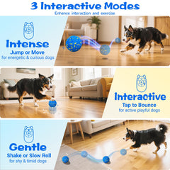 RGISHOP e-TPU durable shell withstands aggressive chewers during active play.