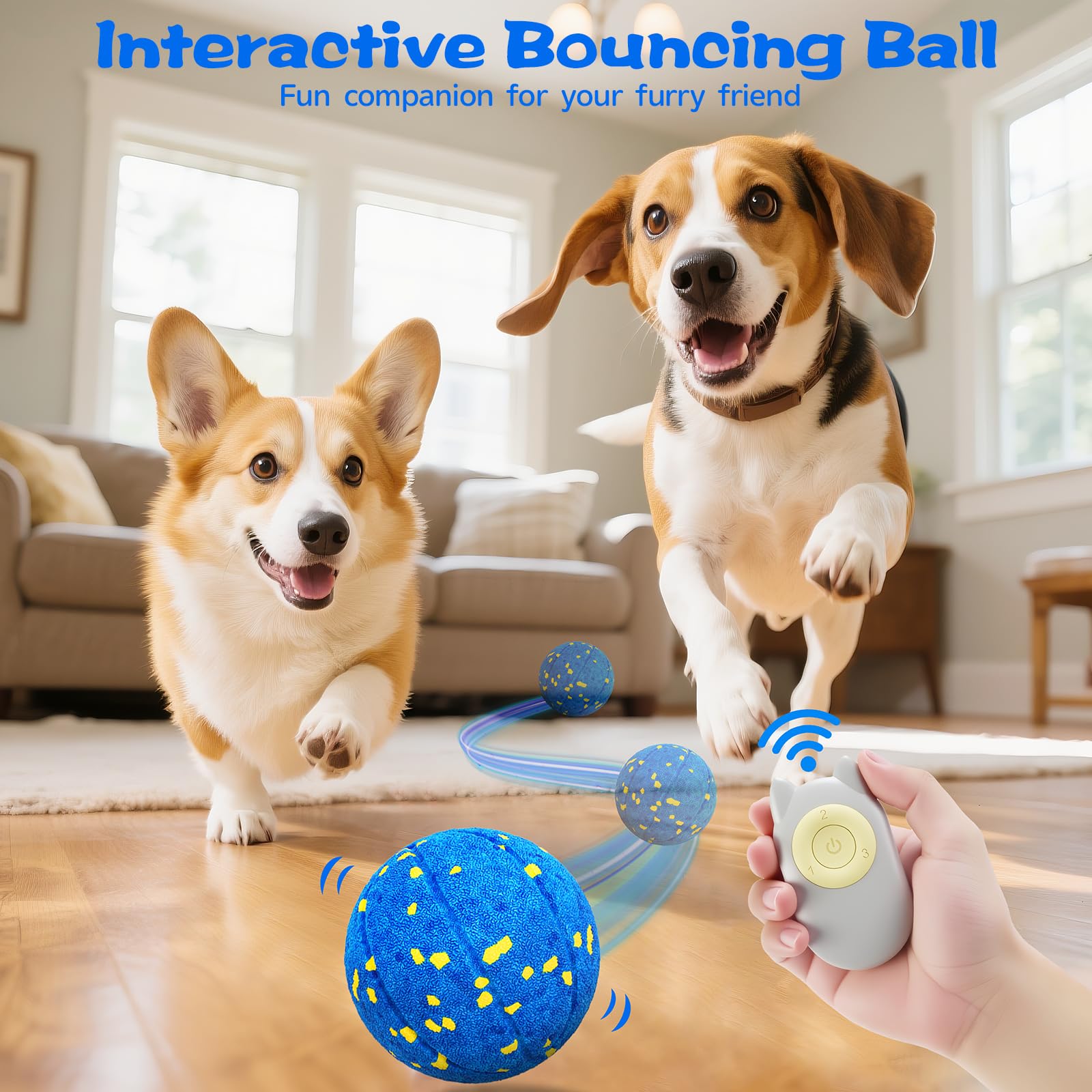 RGISHOP interactive modes deliver bouncing and rolling to spark chasing.