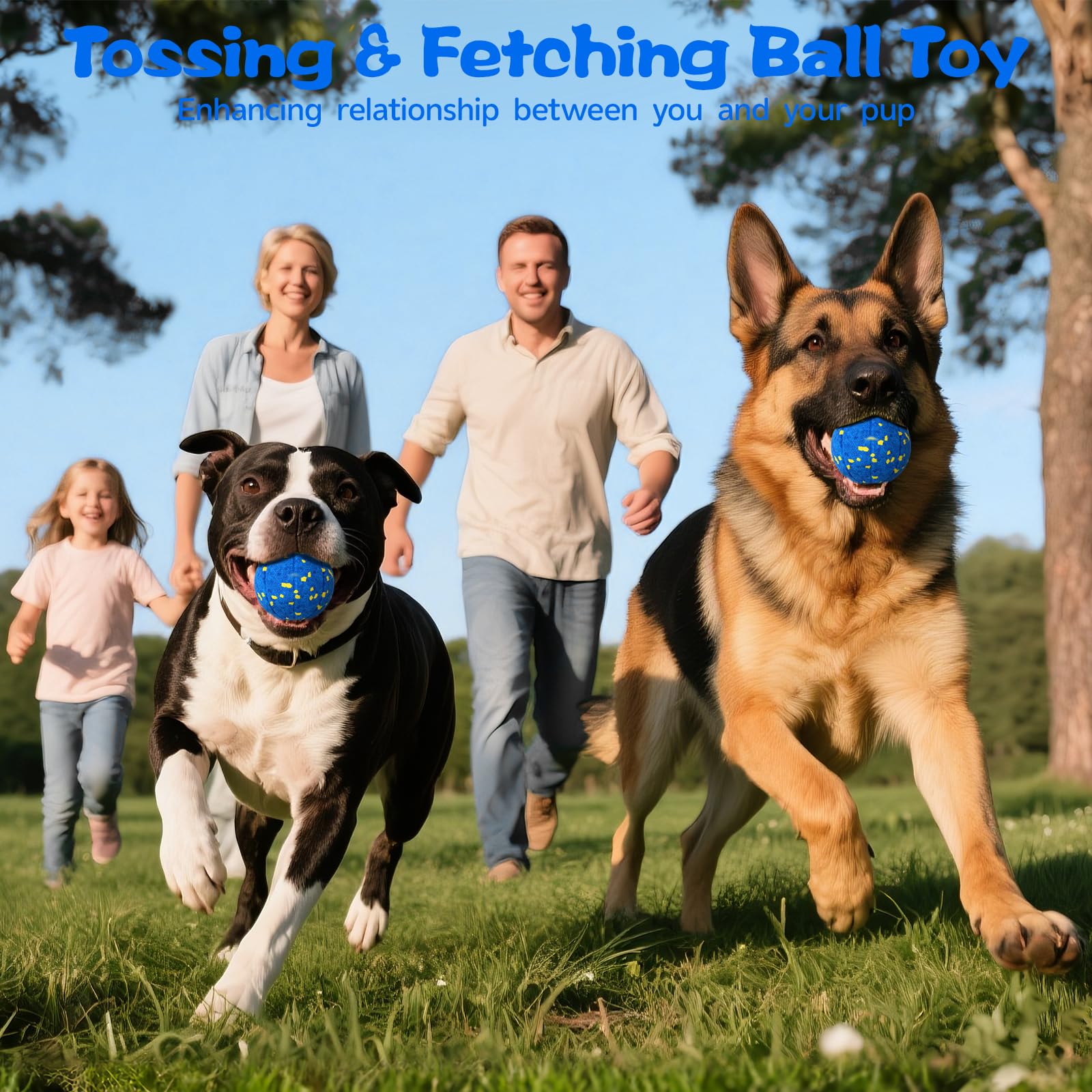 RGISHOP storage bag and dog ball image highlights convenient transport and storage.