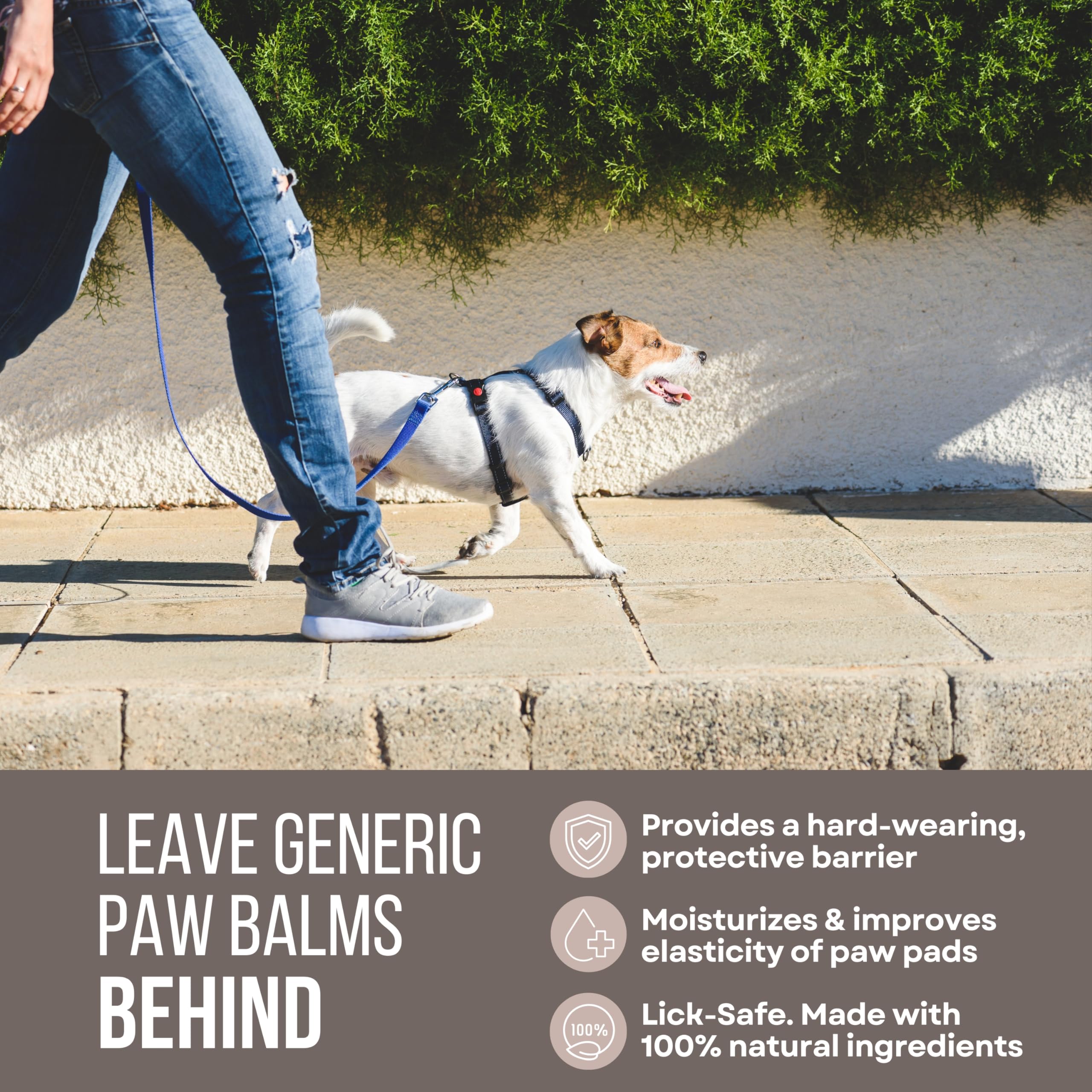 Rhino Wax paw protection application showing easy tube use before walks.