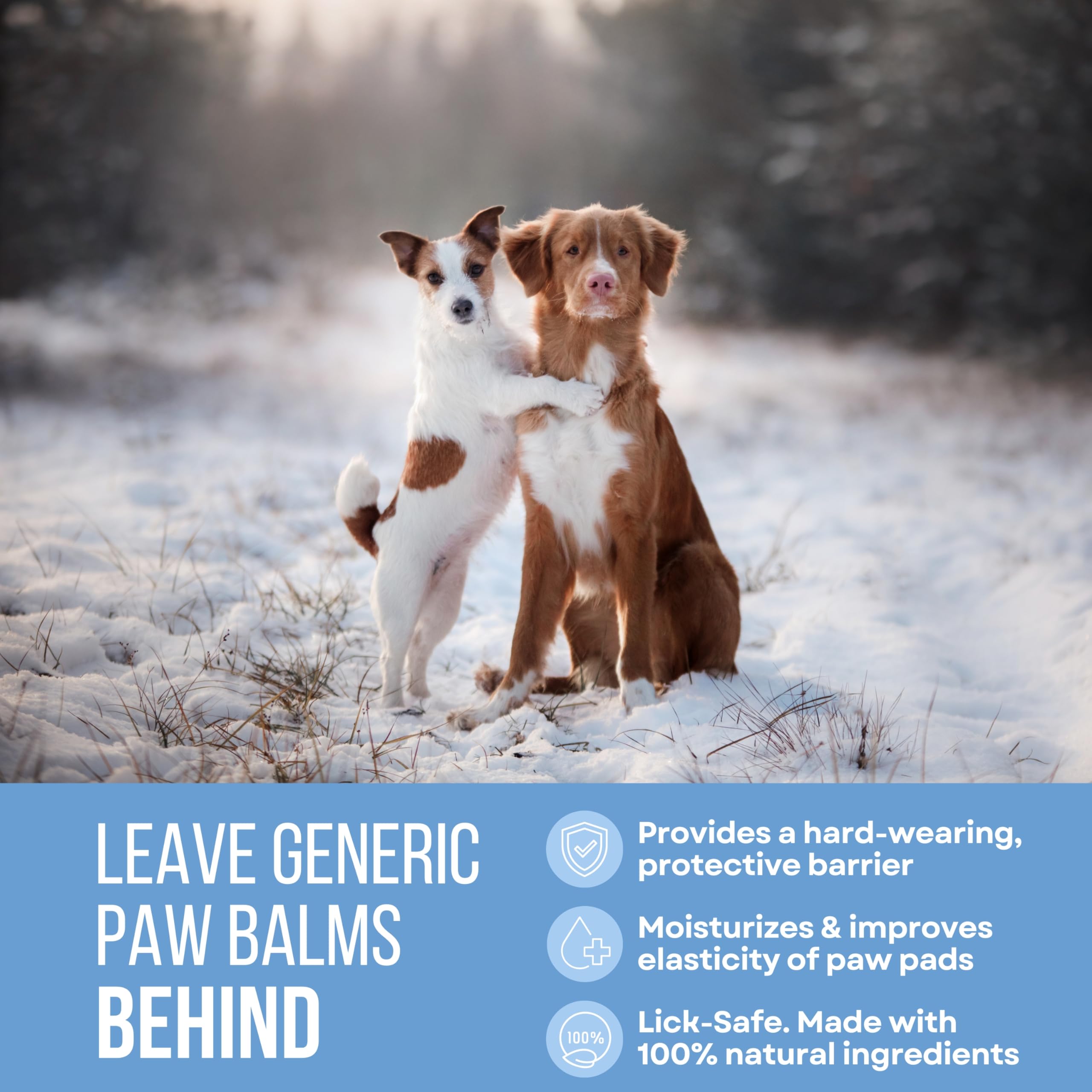 Rhino Wax paw protection ice salt-winter highlights protection against ice and salt on outings.