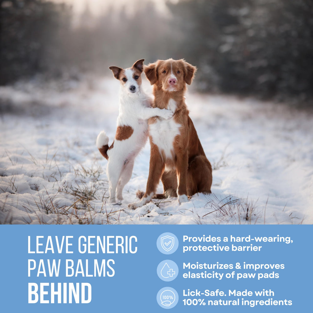 Rhino Wax paw protection ice salt-winter highlights protection against ice and salt on outings.