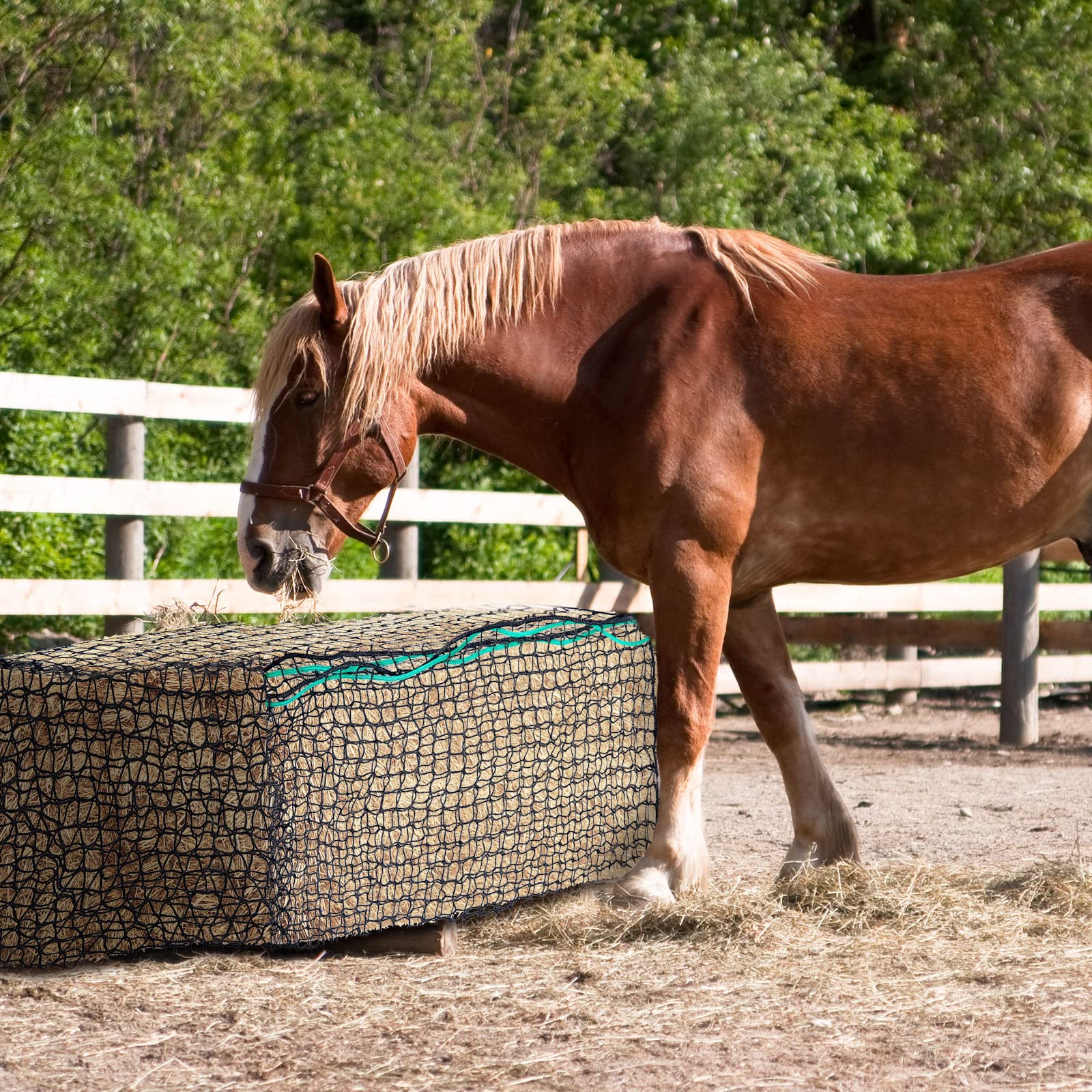 Riakrum hay net dust-free design helps keep hay clean in stalls or barns.