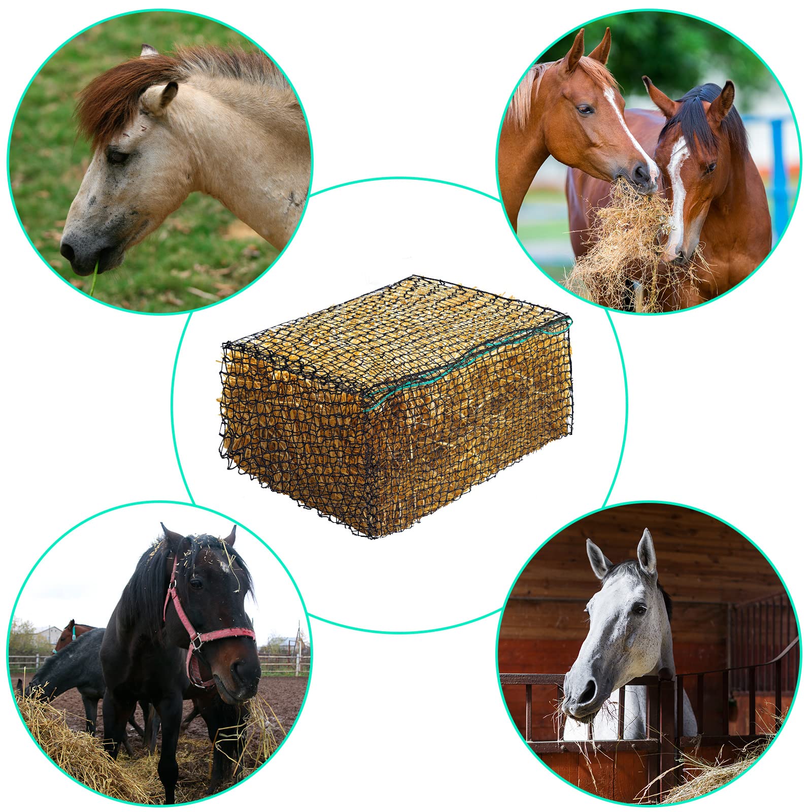 Riakrum hay net in paddock keeps hay clean and accessible during grazing sessions.