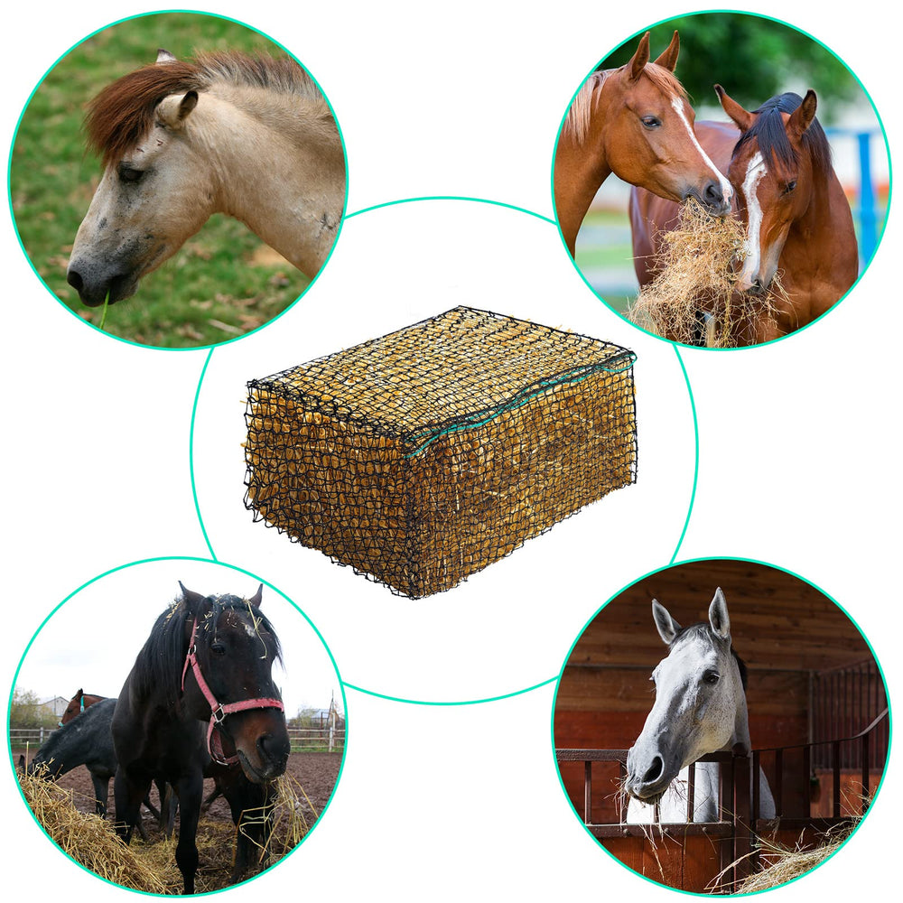 Riakrum hay net in paddock keeps hay clean and accessible during grazing sessions.
